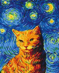 Картина за номерами Кіт у зоряну ніч (BS35619) (Без коробки)