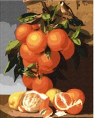 Мозаїка алмазна Натюрморт з апельсинами в пейзажі худ. Antonio Mensaque Діамантові ручки (GU_189711) фото інтернет-магазину Raskraski.com.ua