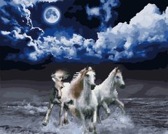 Алмазная картина Белые лошади (BGZS1154) НикиТошка фото интернет-магазина Raskraski.com.ua