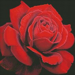 Картина мозаїка Червона троянда ©annasteshka Ідейка (AMO7634) фото інтернет-магазину Raskraski.com.ua