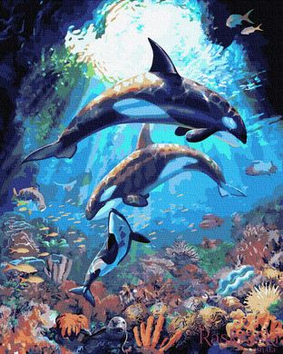Картина по номерам Подводный мир дельфинов (BRM36069) фото интернет-магазина Raskraski.com.ua