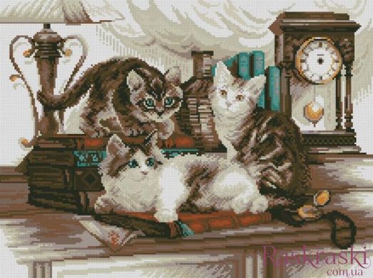 Картина стразами Кошенята у бібліотеці. (41 х 55 см) Dream Art (DA-31628) фото інтернет-магазину Raskraski.com.ua