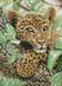 Мозаїка алмазна Дитинча леопарда (23 х 32 см) Dream Art (DA-31614) — фото комплектації набору