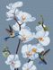 Картина раскраска Цветущие орхидеи ©annasteshka (KHO3241) Идейка (Без коробки)