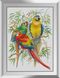 Картина алмазна вишивка Три папуги Dream Art (DA-31130) — фото комплектації набору