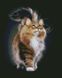 Алмазна вишивка Пухнастий кіт ArtStory (ASM47) — фото комплектації набору