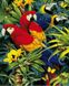 Картина по номерам Красочные ара (MR-Q2122) Mariposa — фото комплектации набора