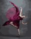 Картины по номерам Грация балерины (AS0997) ArtStory — фото комплектации набора