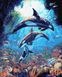 Картина по номерам Подводный мир дельфинов (BRM36069) — фото комплектации набора