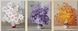 Малювання по номерам Триптих. ніжні квіти (MS14030) Babylon — фото комплектації набору