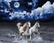 Алмазна картина Білі коні (BGZS1154) НикиТошка — фото комплектації набору