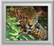 Алмазная мозаика Леопард на отдыхе (полная зашивка, квадратные камни) Dream Art (DA-30090, Без подрамника) — фото комплектации набора