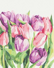 Картина за номерами Ранкові тюльпани © Karolina Bundash (BS53939) (Без коробки)