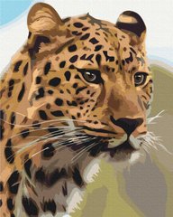 Картина по номерам Пятнистый леопард (BSM-B52449) фото интернет-магазина Raskraski.com.ua