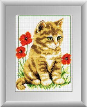 Картина алмазами Кошеня в маках (повна зашивання, квадратні камені) Dream Art (DA-30142) 23 х 30 см фото інтернет-магазину Raskraski.com.ua