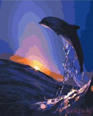 Картина по номерам Закат дельфина (BS5186) (Без коробки)