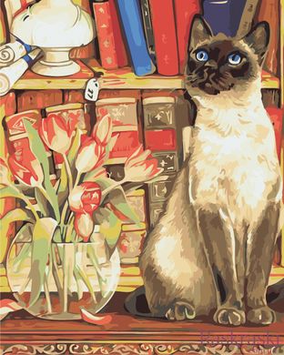 Малюнок по цифрам Кішка з тюльпанами (AS0881) ArtStory фото інтернет-магазину Raskraski.com.ua