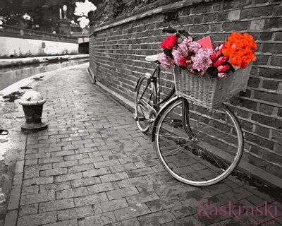 Раскраски по номерам Велосипед с цветочной корзиной (VP695) Babylon фото интернет-магазина Raskraski.com.ua
