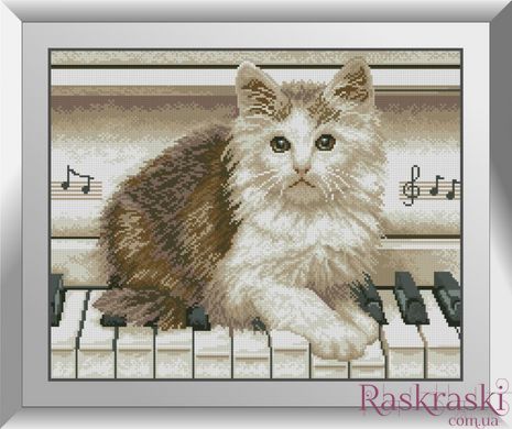 Алмазная вышивка Музыкант (котенок) Dream Art (DA-31381, Без подрамника) фото интернет-магазина Raskraski.com.ua