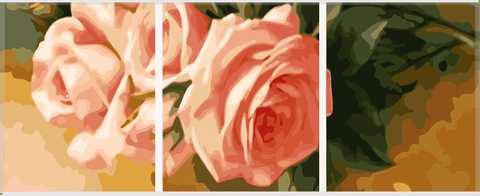 Картины по номерам на тему цветы