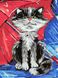 Картина за номерами Кіт під парасолькою (ATE0005) НикиТошка (Без коробки)