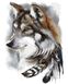 Картина по номерам Индейский волк (AS0169) ArtStory — фото комплектации набора