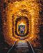 Картина за номерами Тунель кохання та потяг © Sergiy Stepanenko (BSM-B53789) — фото комплектації набору