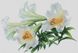 Набір алмазної мозаїки Цвітіння лілій (45 х 65 см) Dream Art (DA-31537) — фото комплектації набору