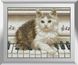 Алмазная вышивка Музыкант (котенок) Dream Art (DA-31381, Без подрамника) — фото комплектации набора