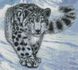 Картина алмазами Сніговий барс у горах (45 х 50 см) Dream Art (DA-31619) — фото комплектації набору
