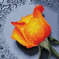 Картина из страз Роза оранжевая ColorArt (CLR-PTT605, На подрамнике) фото интернет-магазина Raskraski.com.ua