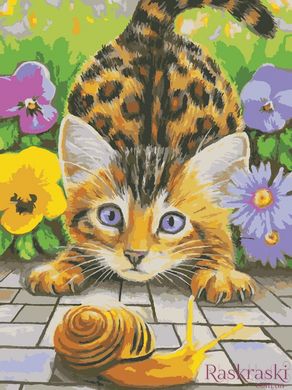 Картина за номерами Кіт та равлик (AS0932) ArtStory (Без коробки)