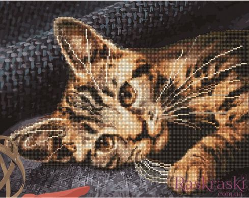 Алмазна картина Бенгальська кішка (GZS1038) BrushMe (Без коробки) фото інтернет-магазину Raskraski.com.ua