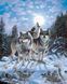 Картина из страз Стая волков ТМ Алмазная мозаика (DMF-279, На подрамнике) — фото комплектации набора