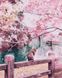 Картина по цифрам Котик в квітучій сакурі (BRM30046) — фото комплектації набору