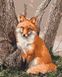 Картина за номерами Лісова лисичка (BS52398) (Без коробки)