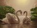 Картина по номерам Любовь (лебеди) (KH301) Идейка — фото комплектации набора