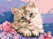 Картина по цифрам Милий котик (VK118) Babylon — фото комплектації набору