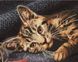 Алмазна картина Бенгальська кішка (GZS1038) BrushMe (Без коробки) — фото комплектації набору