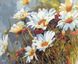 Полотно для малювання Ромашкове поле (MR-Q1439) Mariposa — фото комплектації набору