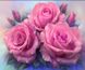 Картина из страз Бархатные розы (JA20196, частичная выкладка) Диамантовые ручки (GU_188523, Без подрамника) — фото комплектации набора