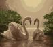 Картина по номерам Любовь (лебеди) (KH301) Идейка — фото комплектации набора