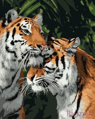 Картина по номерам Тигровая любовь (KH4301) Идейка фото интернет-магазина Raskraski.com.ua