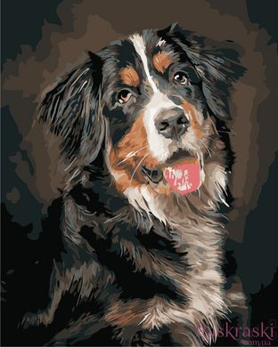 Картини за номерами Портрет собаки (AS0883) ArtStory фото інтернет-магазину Raskraski.com.ua