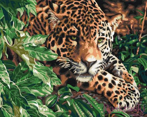 Живопис по номерам Леопард зі смарагдовими очима (BS51754) (Без коробки)