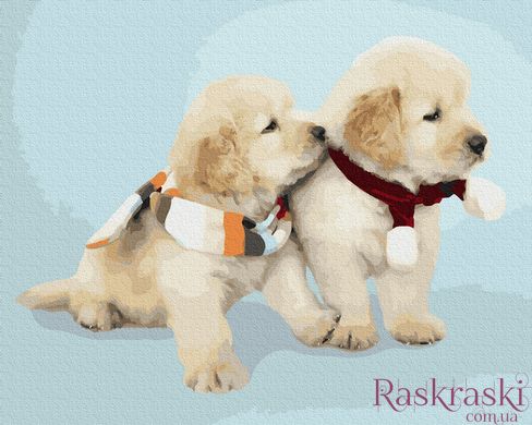 Картина по номерам Милые собачки (BRM38498) фото интернет-магазина Raskraski.com.ua