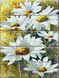 Картина за номерами на дереві Ромашки (ASW005) ArtStory — фото комплектації набору