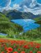 Картина по номерам Маки в горах (AS1100) ArtStory — фото комплектации набора