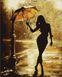 Раскраска по номерам Танцующая под дождём (AS1000) ArtStory — фото комплектации набора