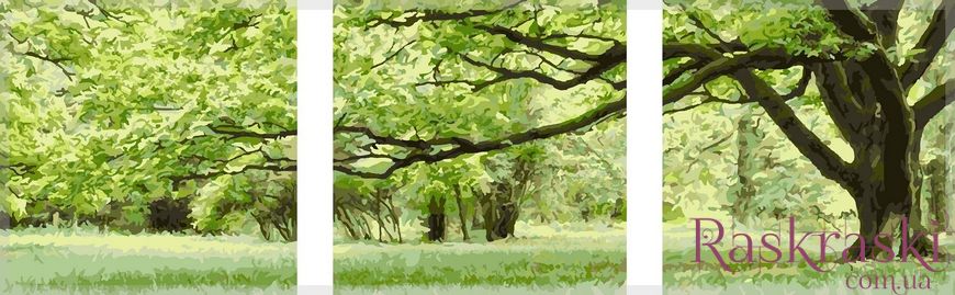 Картина Розмальовка Триптих. зелене дерево (MS14057) Babylon фото інтернет-магазину Raskraski.com.ua